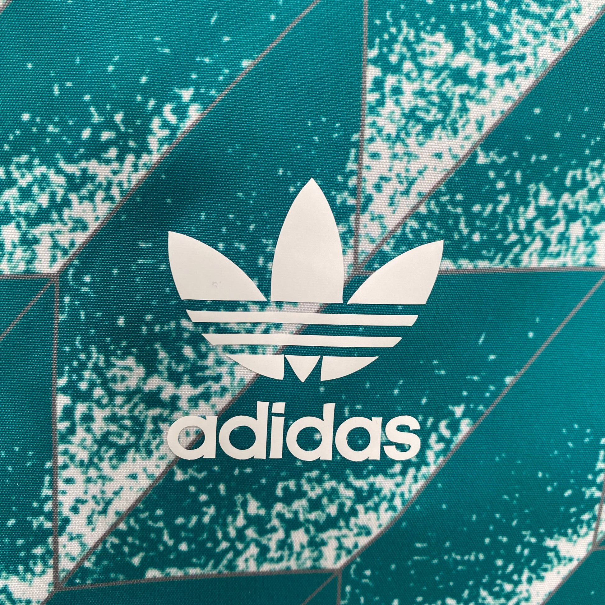 Veste de survêtement Allemagne 2024-2025